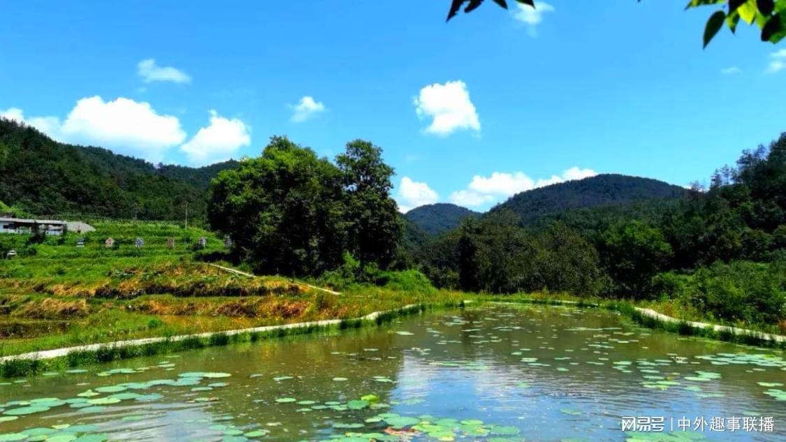 昨日图文推广品牌化塑造您的内容形象,流量获取新选择王橹杰滑跪