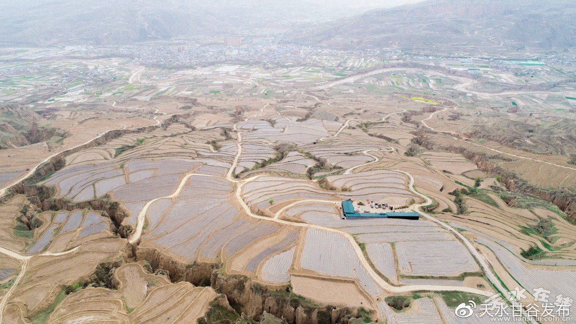 IU说雪莉是最漂亮的人