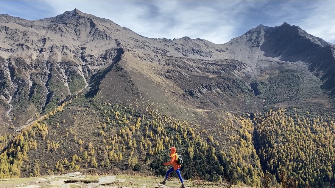 美国网友称领取食物队伍已爆满